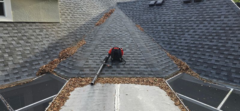 Gutter Cleaning Excellence by Blue Stream Roof Cleaning & Pressure Washing