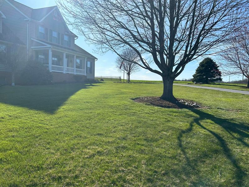 Hardscaping Landscaping