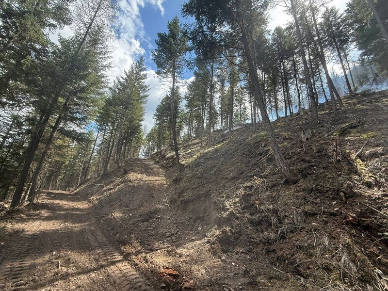 Land Clearing