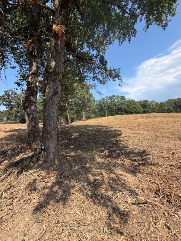 Land Clearing