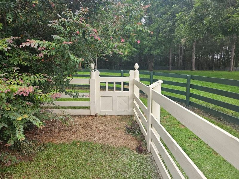 Landscaping