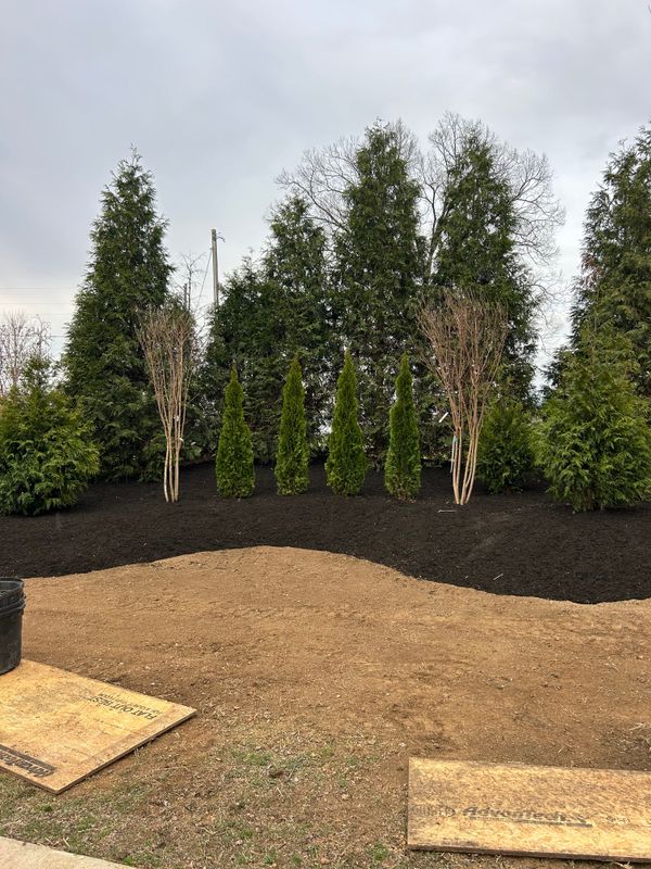 Landscaping Berms