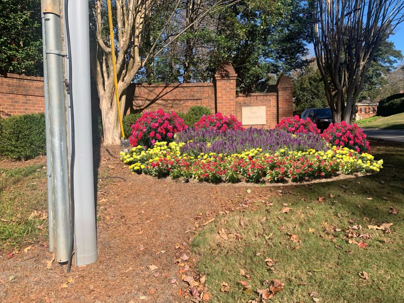 Landscaping