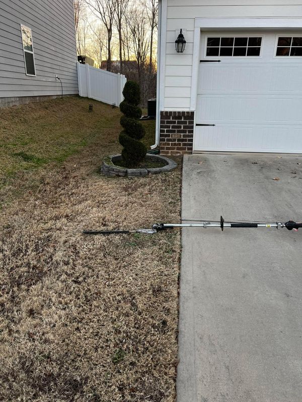Other Lawn Maintenance