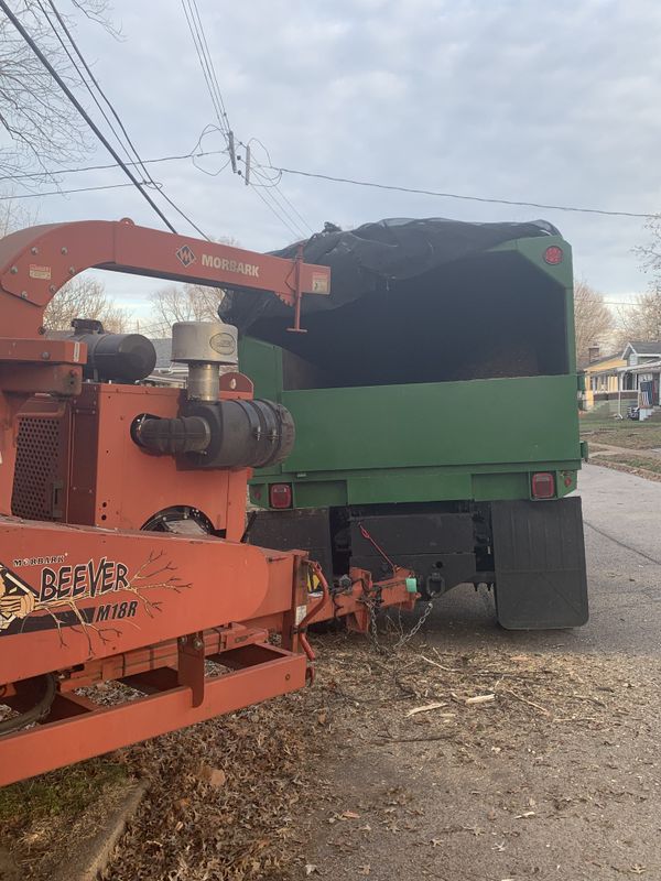 Stump Grinding