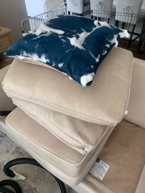 Upholstery Cleaning