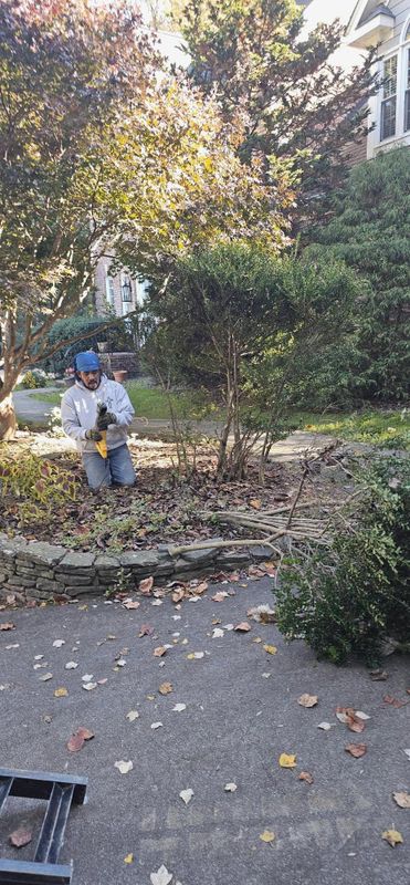 Hardscape