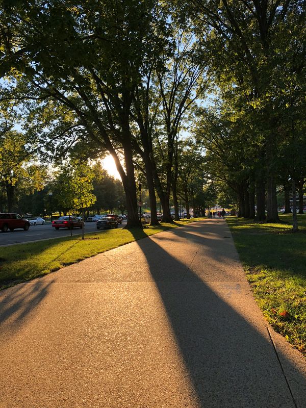 Pavers