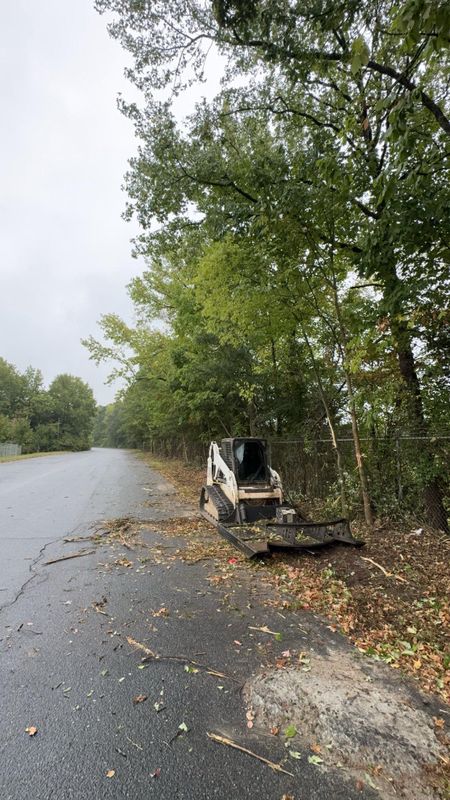Lot Clearing
