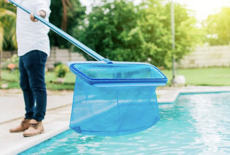 Pool Algae & Stain Removal