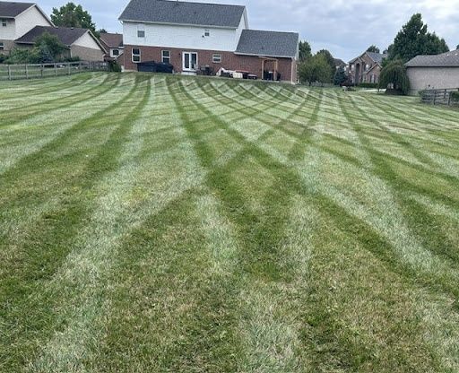 Lawn Care & Maintenance