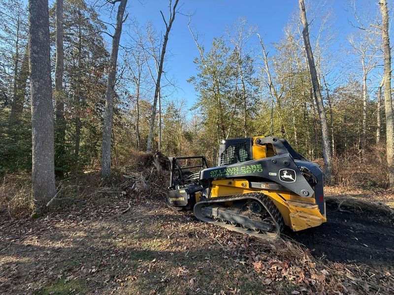 Land Clearing