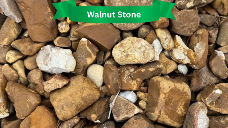 Rocks