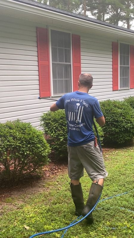 Pressure Washing 