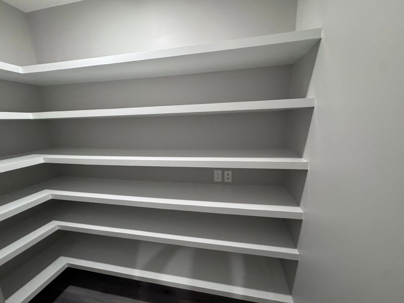 Interior Painting