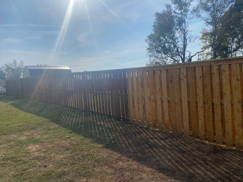 Deck and Fence Staining