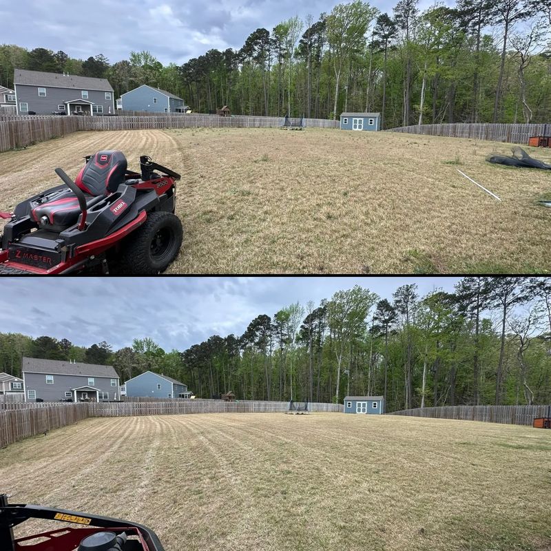 Lawn Maintenance