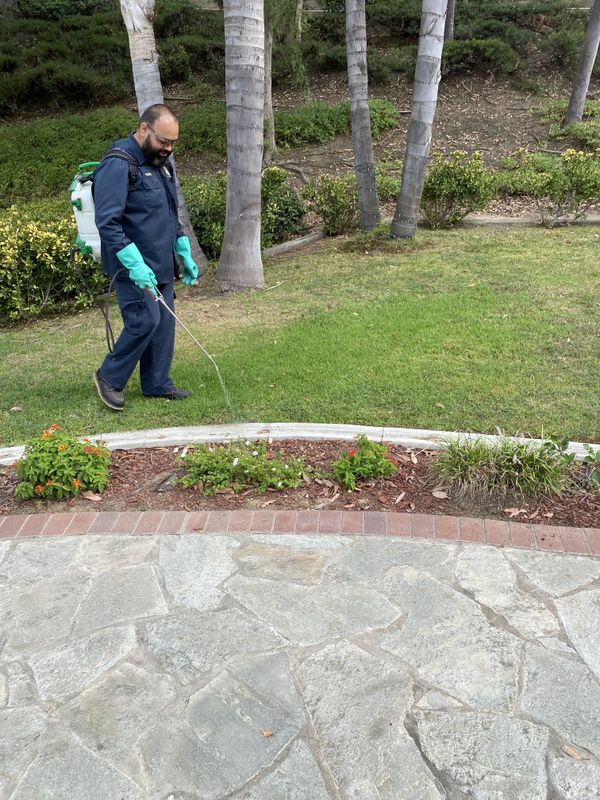 Residential Pest Control