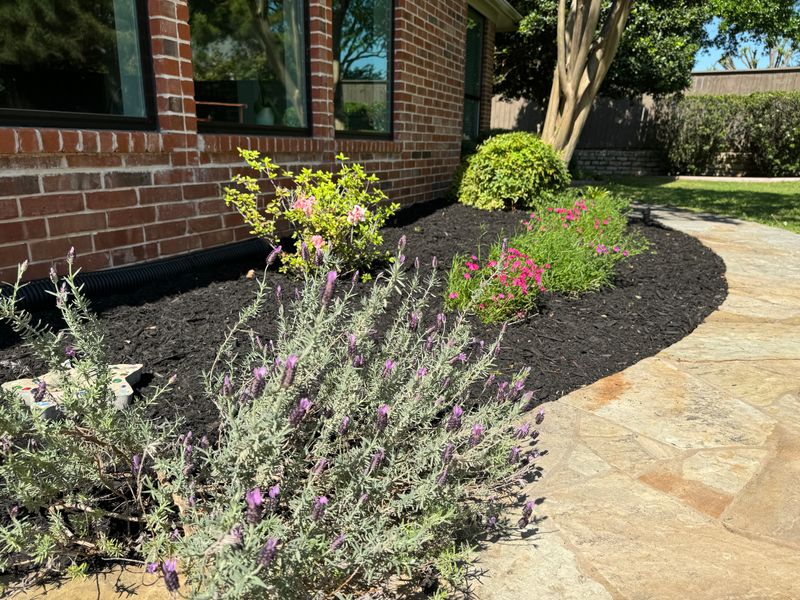 Landscape Design and Installation