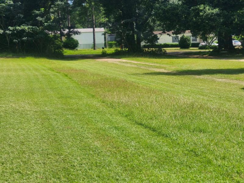Landscape Design