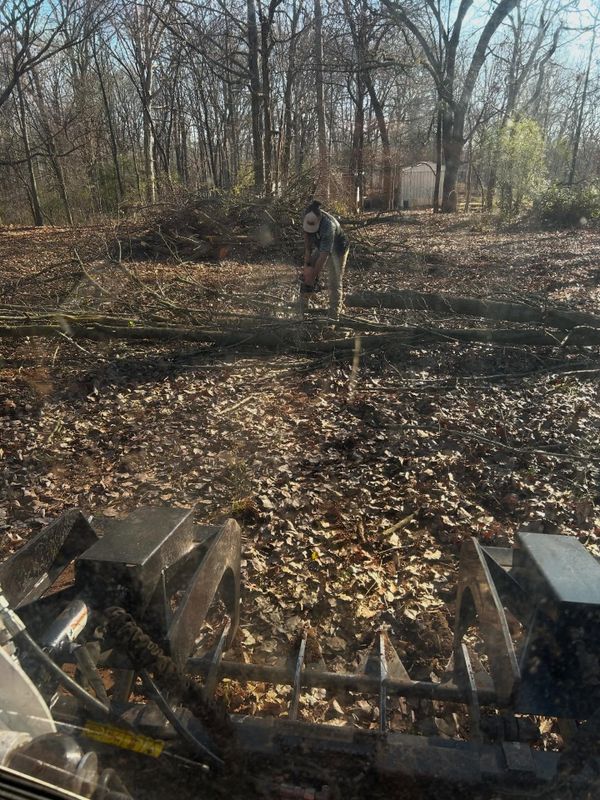 Land Clearing Photos