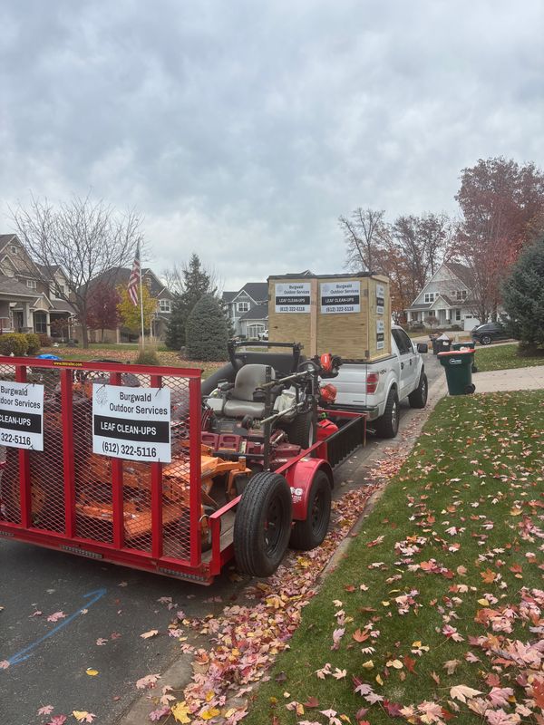 Property Cleanups