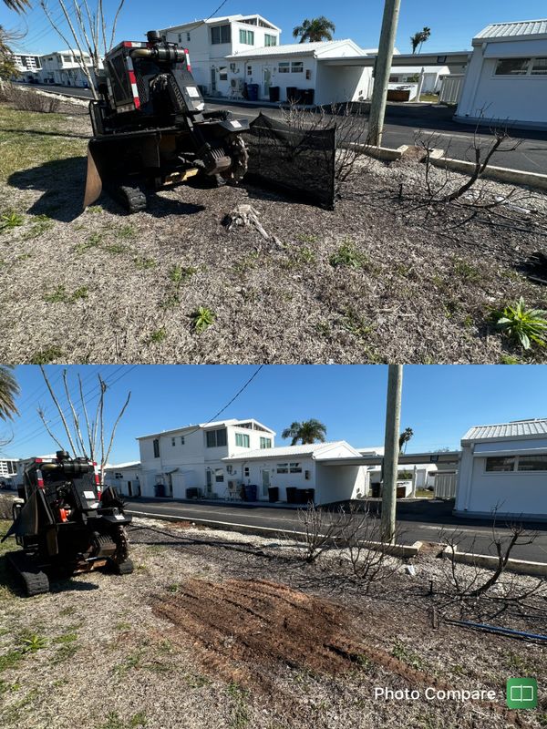 Stump Removal