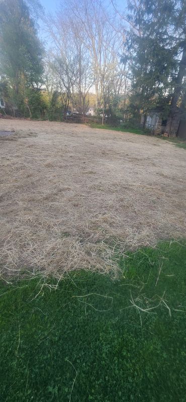 Landscaping & Hardscaping