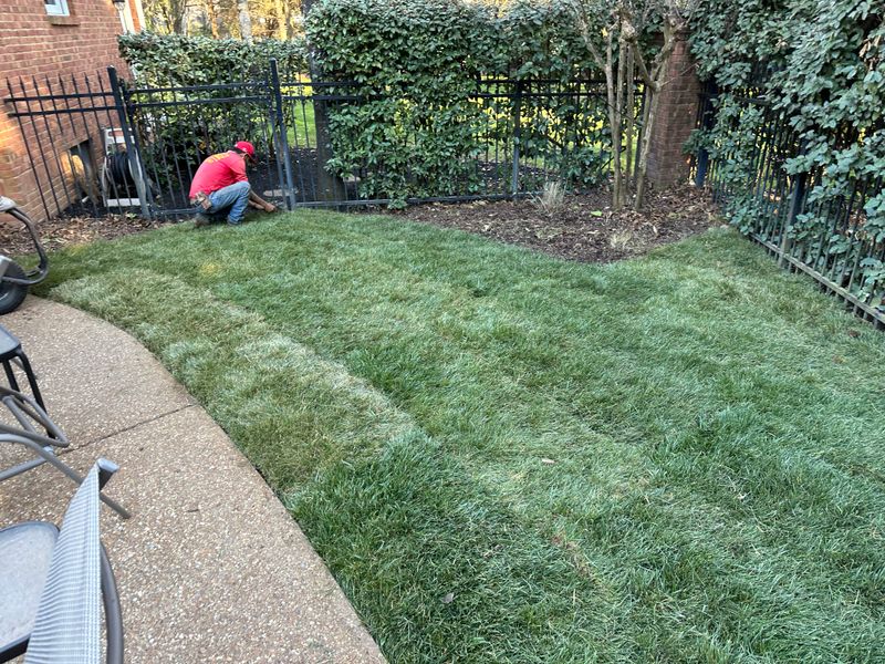 Landscaping
