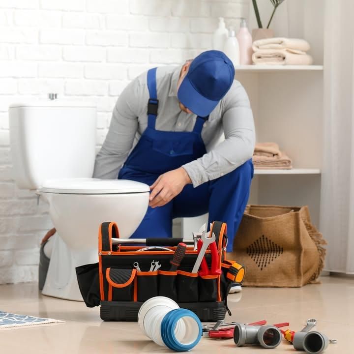 Toilet Repairs and Installation
