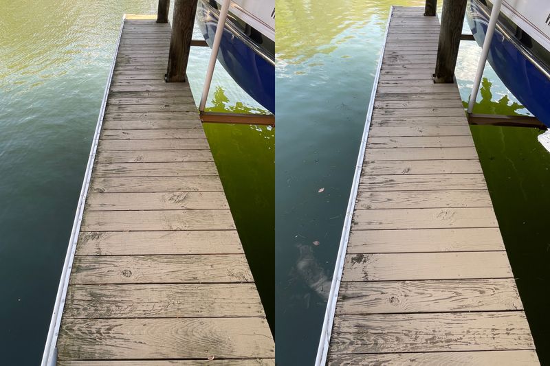 Deck & Patio Cleaning