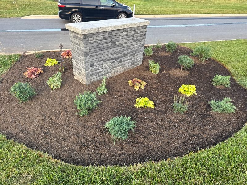 Lawn Care Services