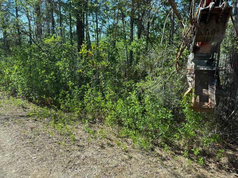 Land Clearing