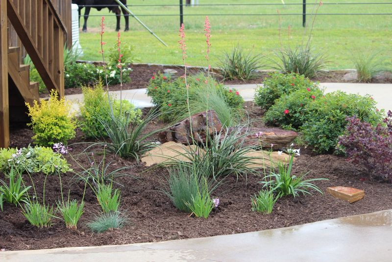 Landscape Design & Installation