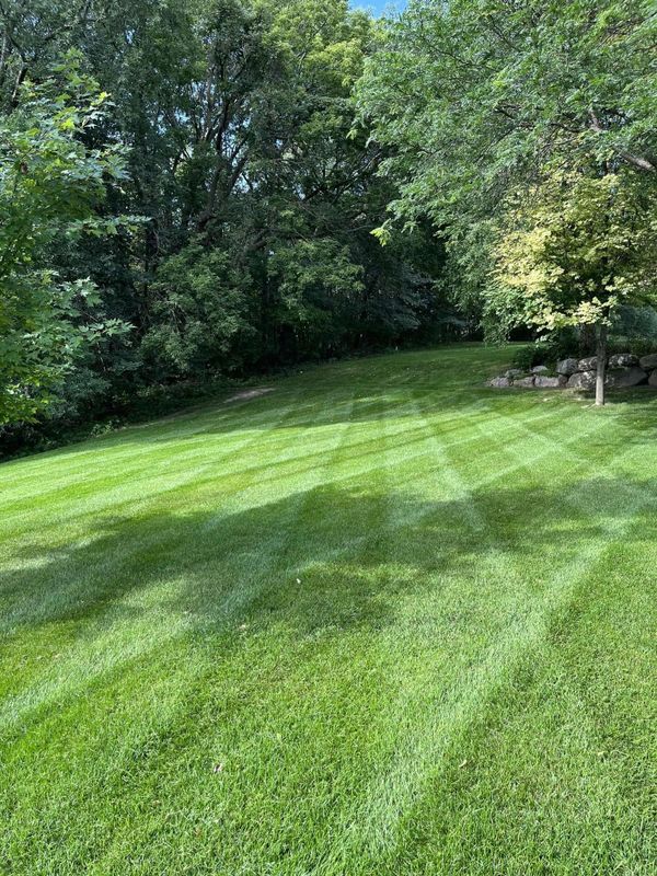 Lawn Care & Maintenance