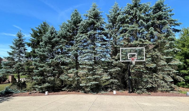 Tree Trimming