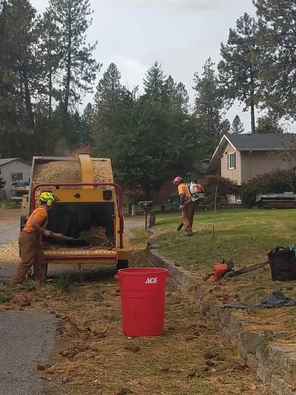 Land Clearing & Demolition