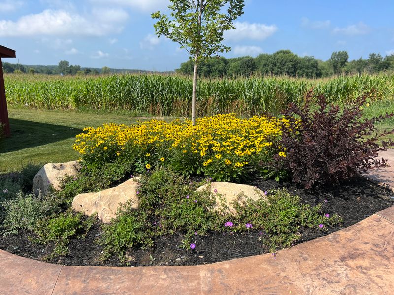 Landscaping