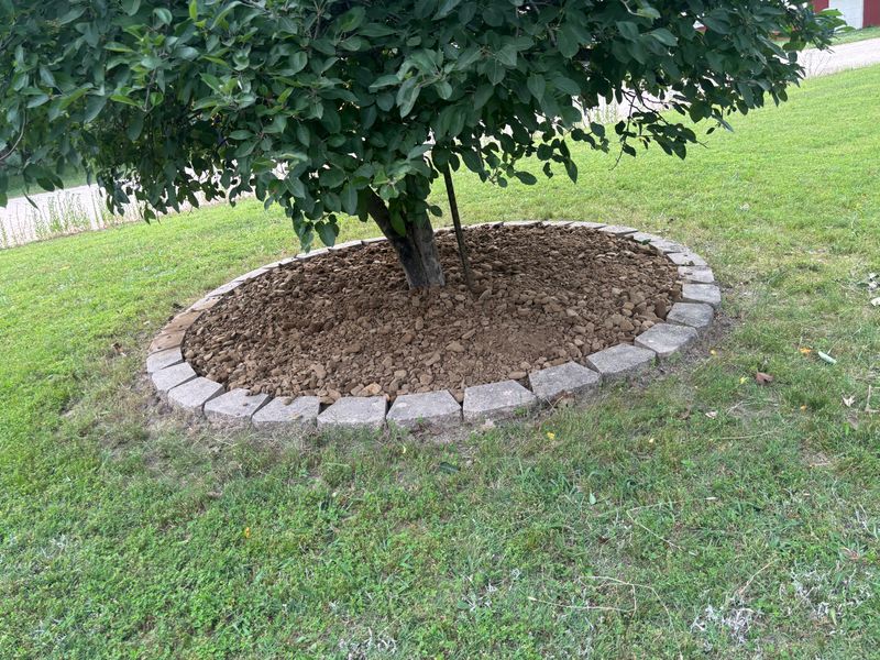 Tree & Shrub Care