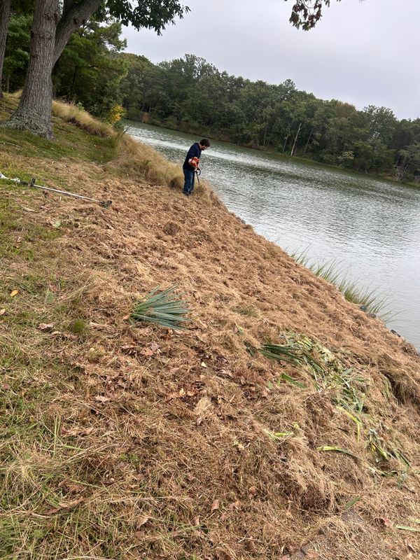 River Bank Clearing  gallery