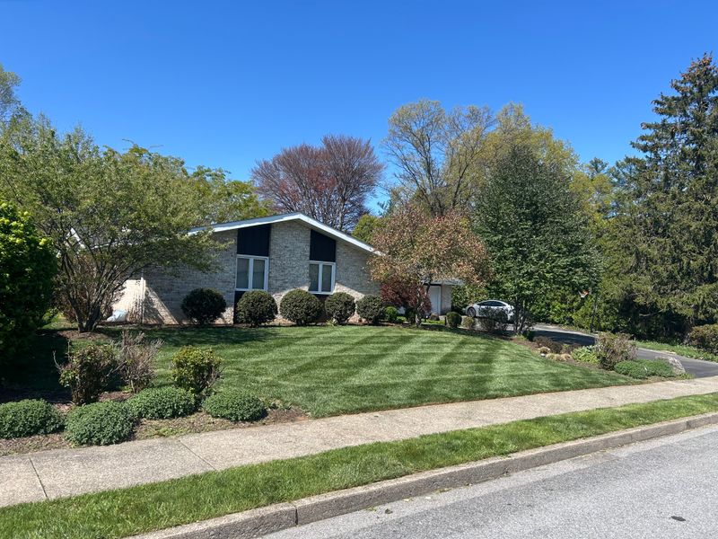 Lawn Maintenance