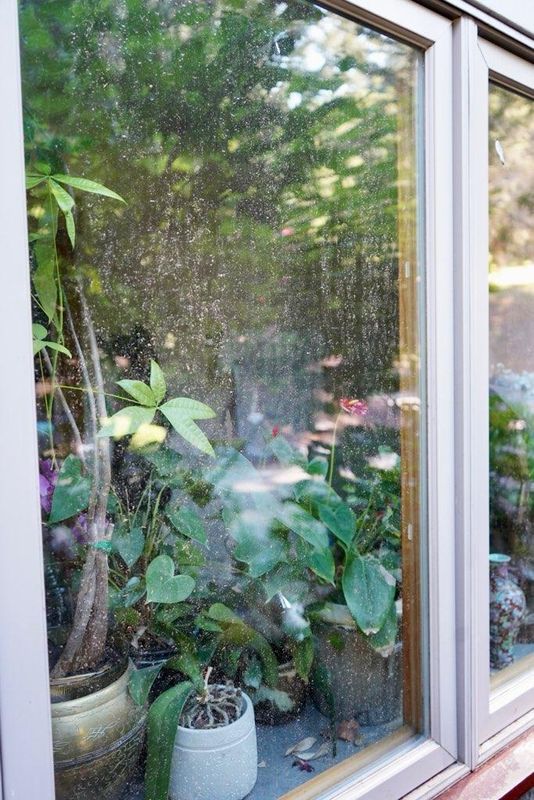 Window Cleaning