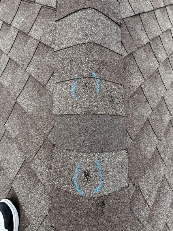 Roofing Repairs