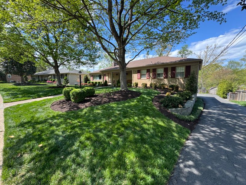 Lawn Care & Maintenance
