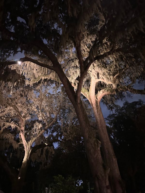 Landscape Lighting 