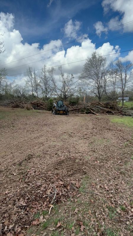 Tree Removal