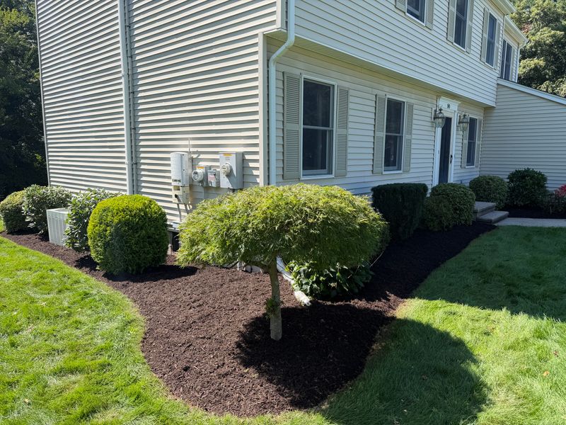 Tree & Shrub Care