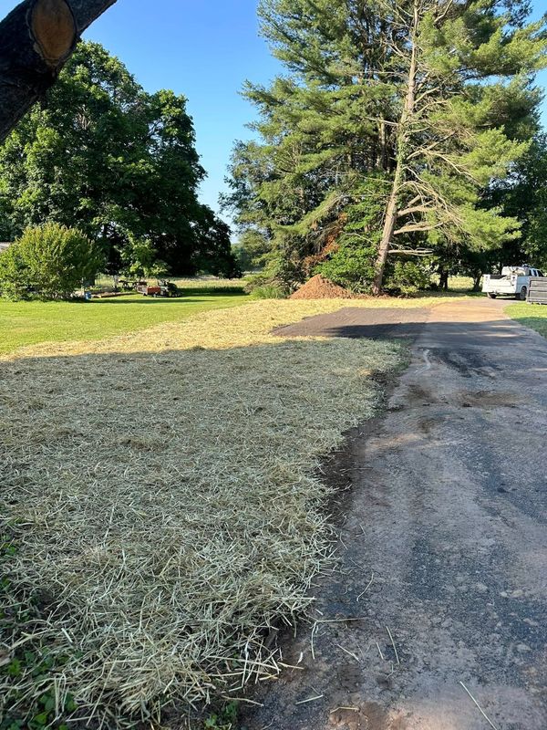 Mulch Installation