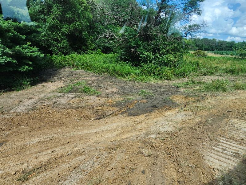 Land Clearing & Demolition