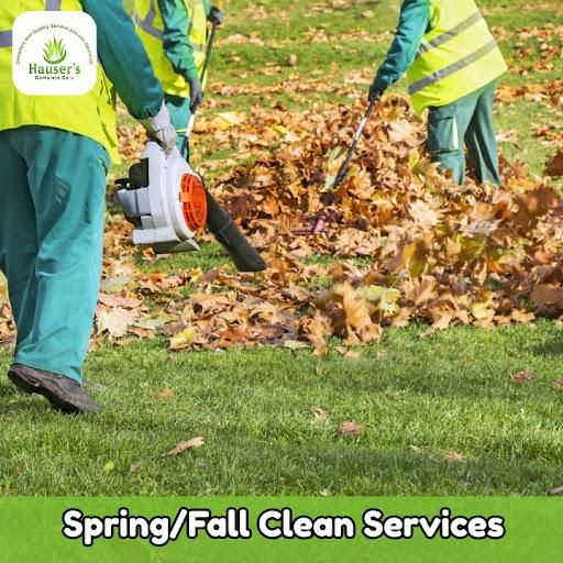 Lawn Care & Maintenance